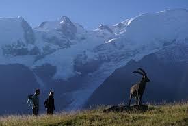 parc animalier de Merlet
