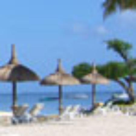 J. Multari Gattieres