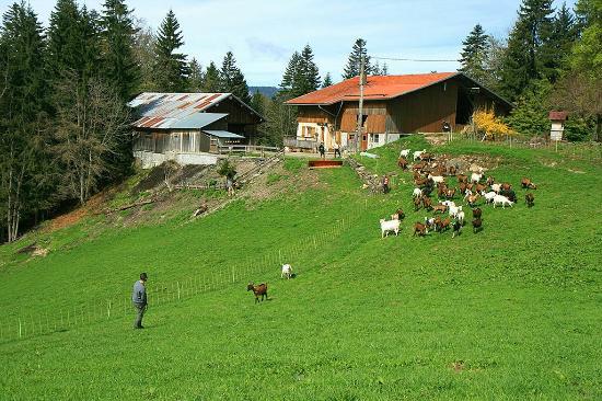 Chèvrerie de la Closette