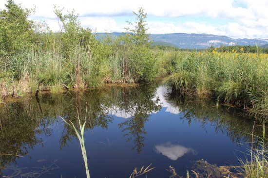 Réserve naturelle nationale du marais de Lavours