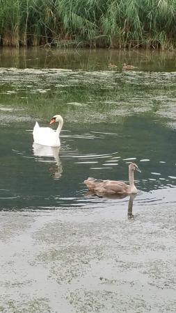 Espace Sports et Nature du Fier