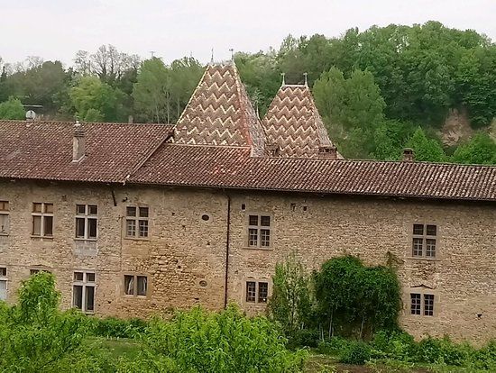 Les Amis des Antonins