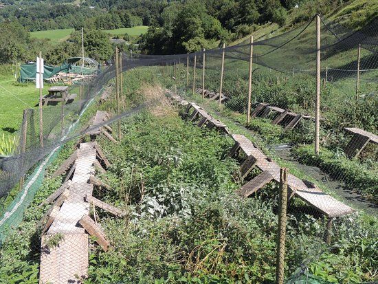 L'Escargotière d'Arno