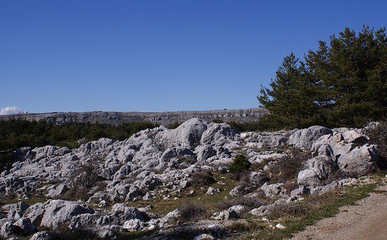 Plateau karstique de Caussols