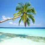 Bar Tabac Du Vieux Pont