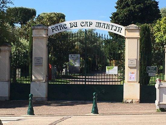 La Cabane de l'Oliveraie