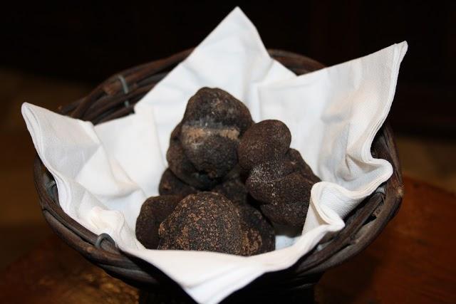 Terres de Truffes