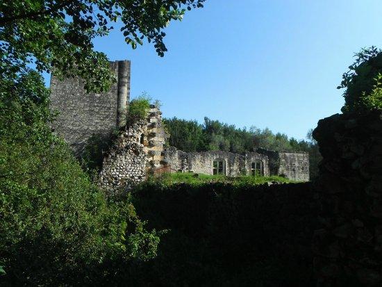 château Thomas II de Savoie