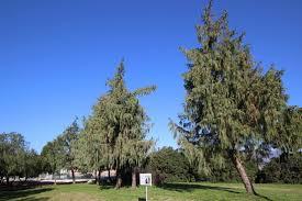 Parc de l'eco-vallée