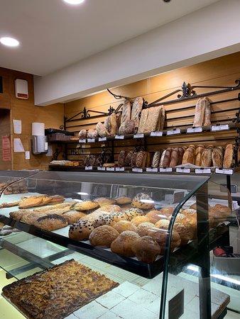 J. Multari Maccarani