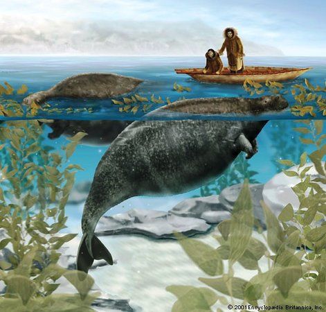 Vallée des sirènes