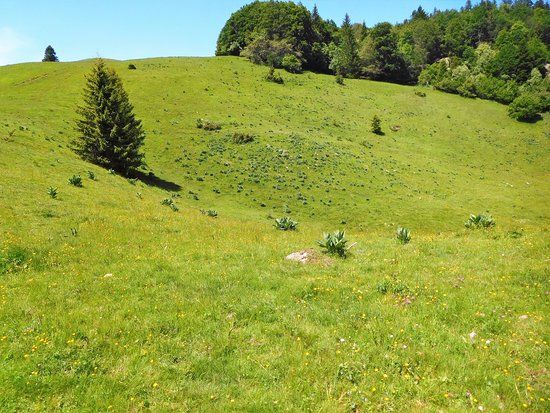 La Tourbière des Creusates