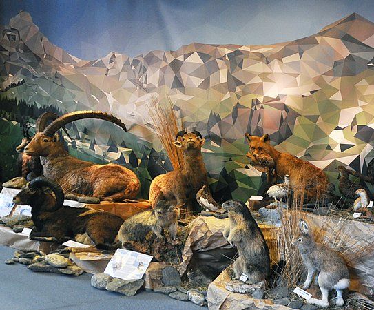 Centre de la Nature Montagnarde