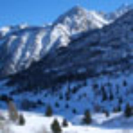 Lou Baitandys Bar Restaurant