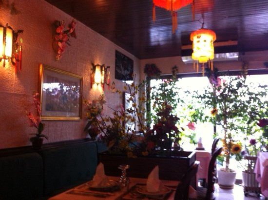 Palais des Orchidées