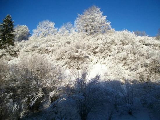 Ecomusée Maison Michaud