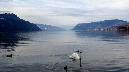 La Maison des Pêcheurs